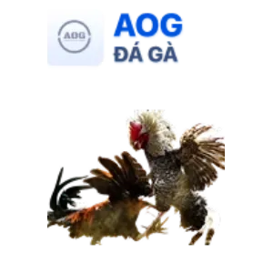 Trò chơi Sòng bạc Trực tiếp tại qq8